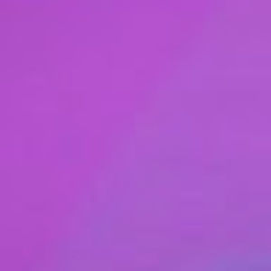 Meet your Posher, Zaria